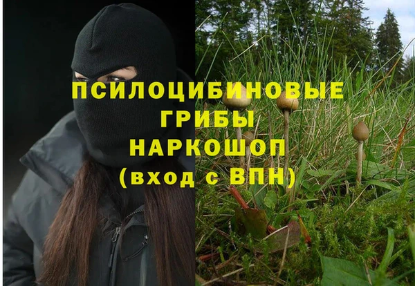 МДПВ Аркадак