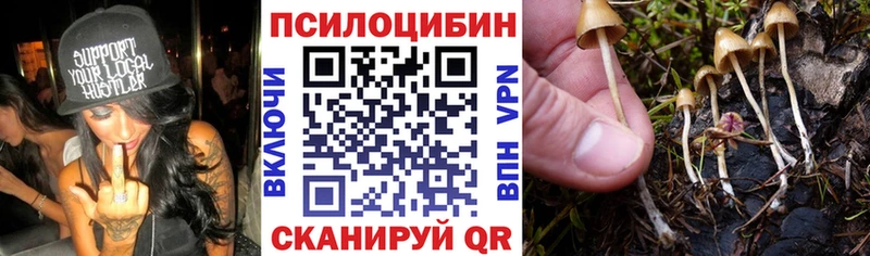 сколько стоит  blacksprut рабочий сайт  Галлюциногенные грибы мицелий  Касимов 